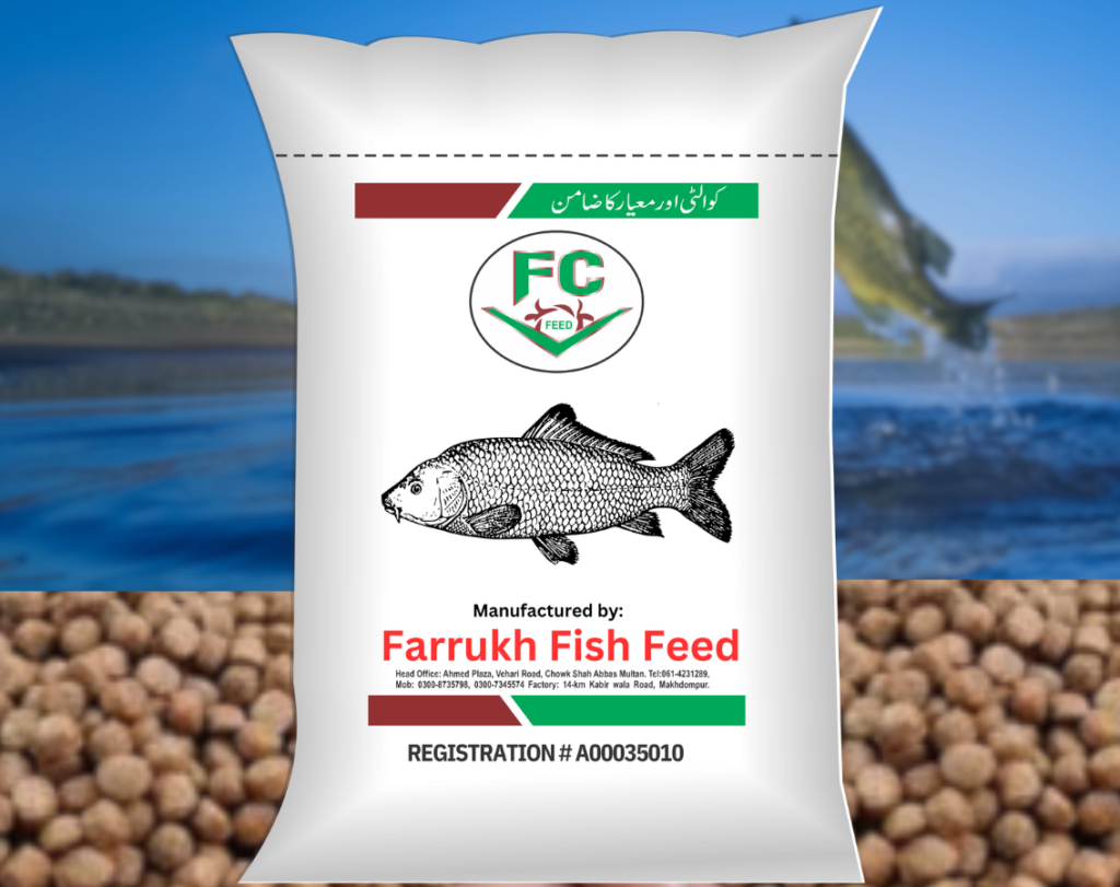 Fish Feed