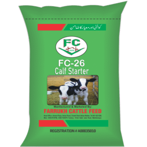 fc 26 calf starter